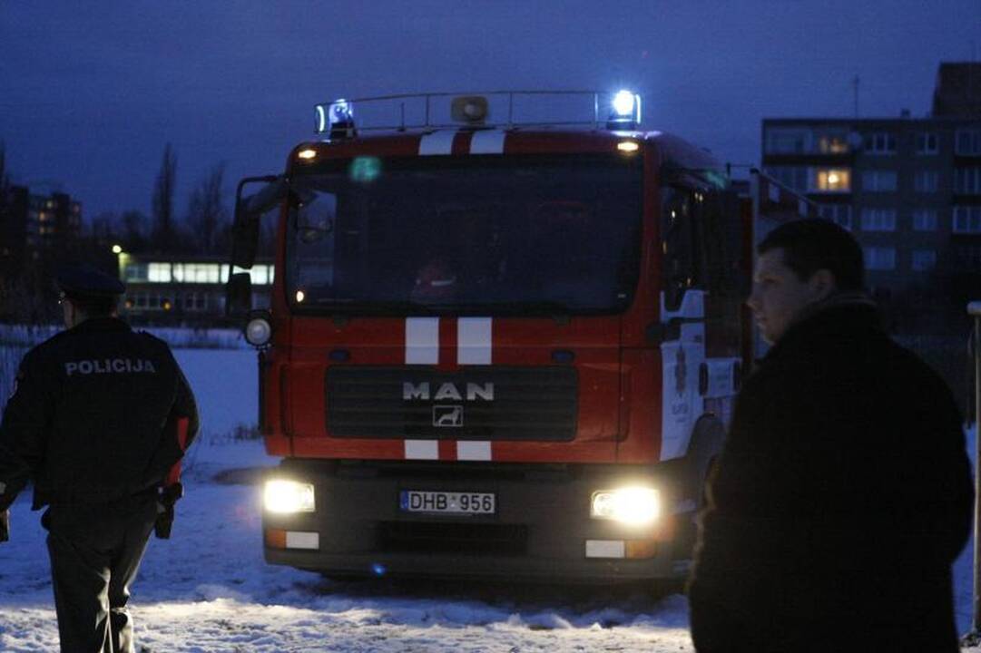 Japonijoje drebėjimas ir cunamis nusinešė šimtus gyvybių (papildyta 16.30 val.)
