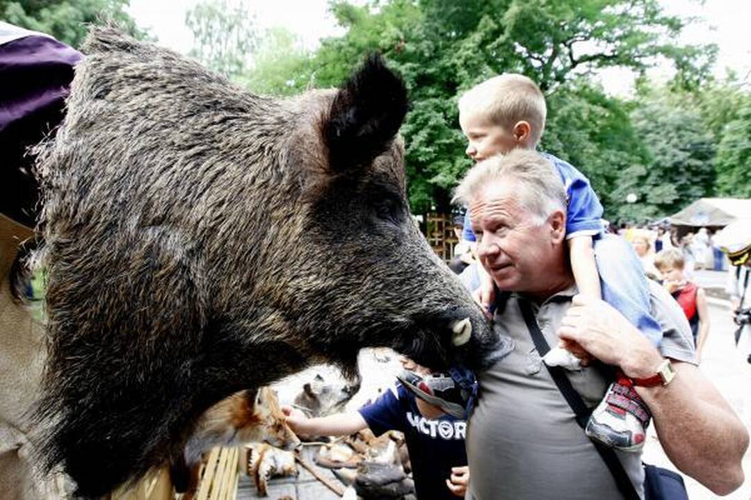 Klaipėdoje prasideda jubiliejinė Jūros šventė