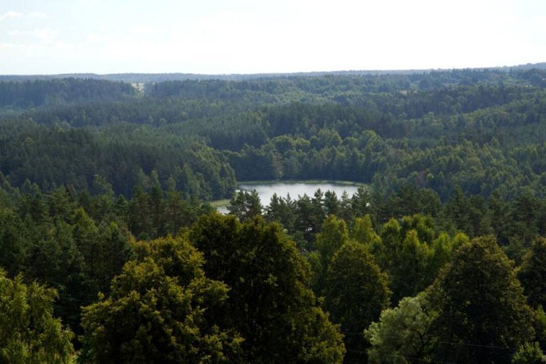 Kelionė po Nalšią - Sirvėtos regioninis parkas