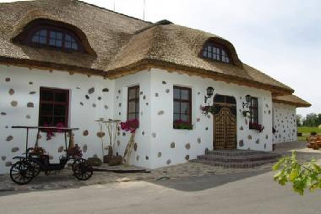 Gaisras siautėjo „Vienkiemyje“