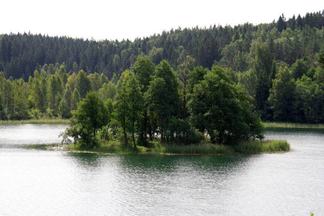 Kelionė po Nalšią - Sirvėtos regioninis parkas