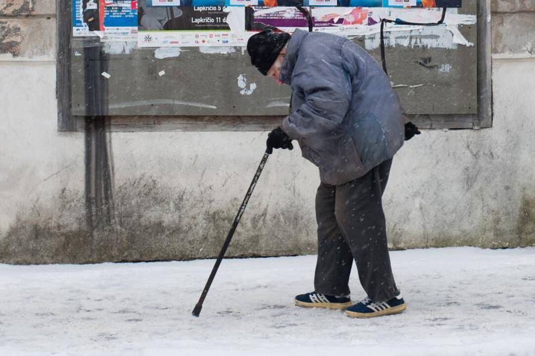 Seniūnaičius išrinks tik bedarbiai ir pensininkai?