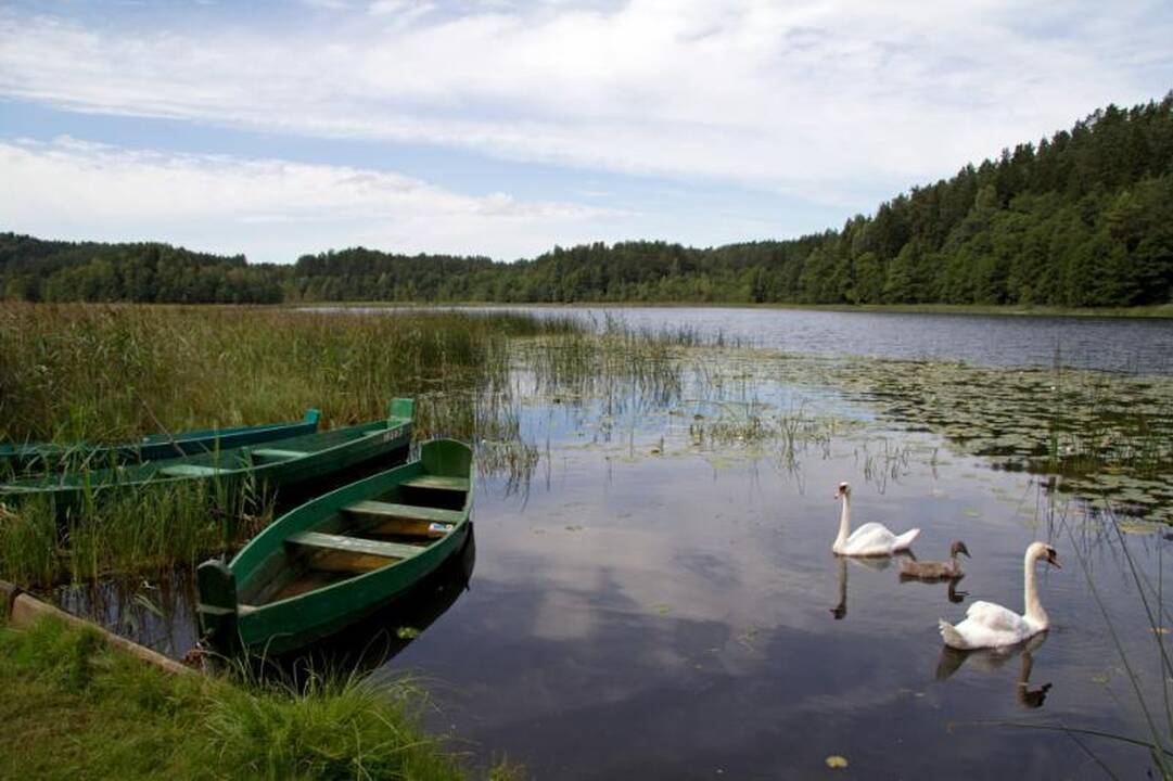 Kelionė po Nalšią - Sirvėtos regioninis parkas