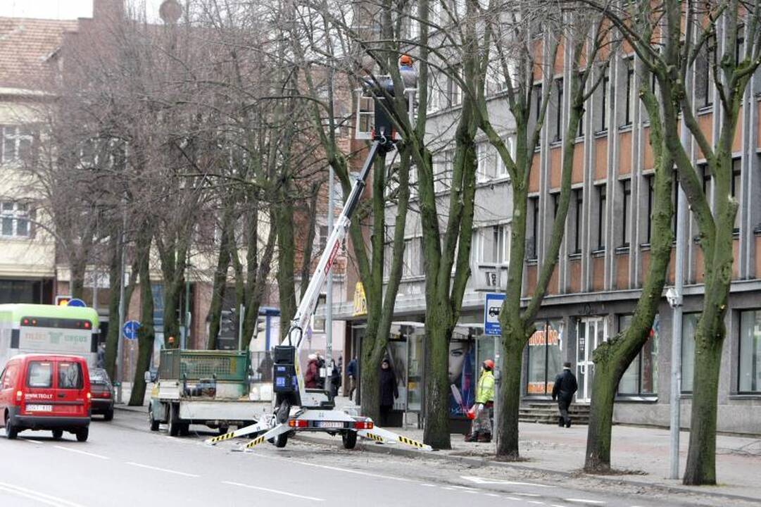 Trys Karaliai mieste užbaigė žiemos linksmybes  