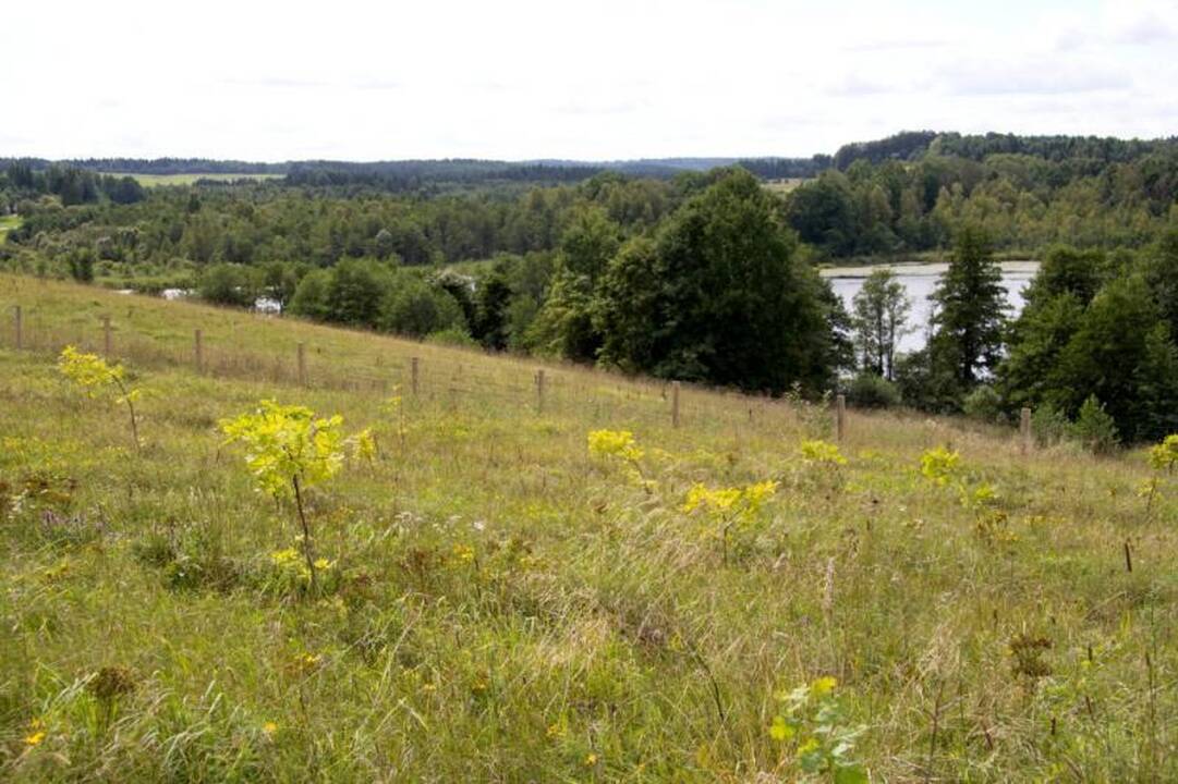 Kelionė po Nalšią - Sirvėtos regioninis parkas