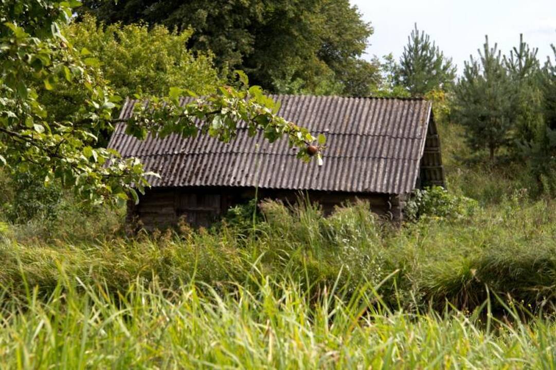 Kelionė po Nalšią - Sirvėtos regioninis parkas