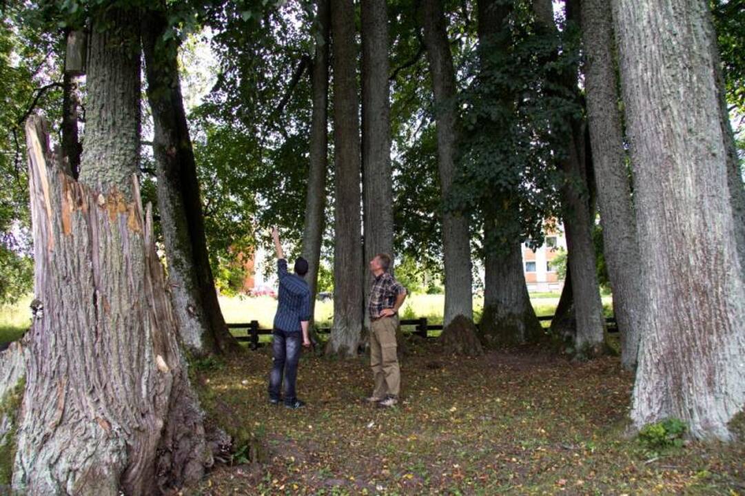 Kelionė po Nalšią - Sirvėtos regioninis parkas