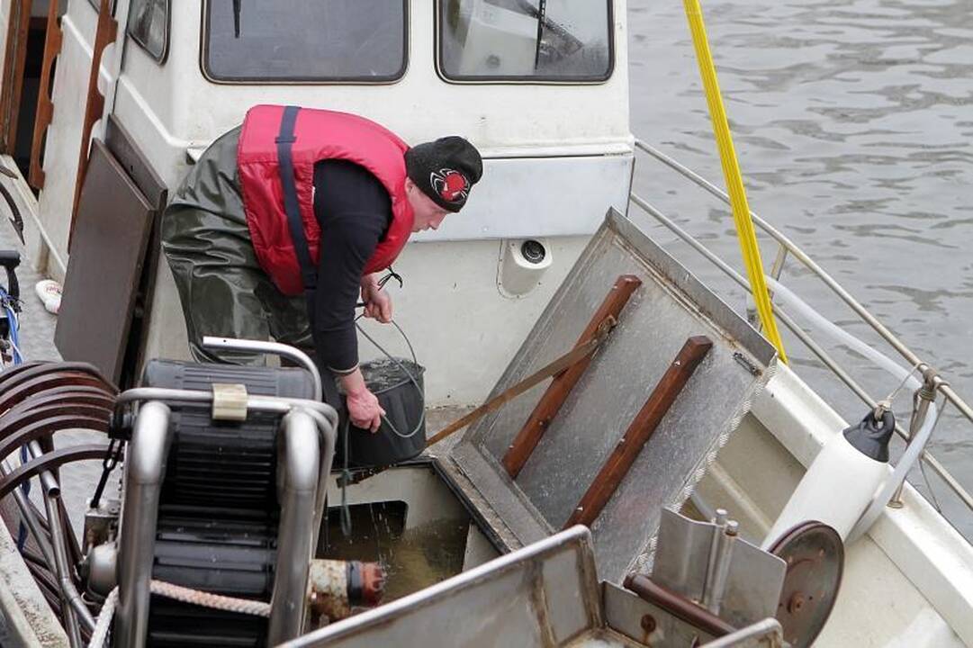 Prie Danės krantinių iš vandens traukė laivą