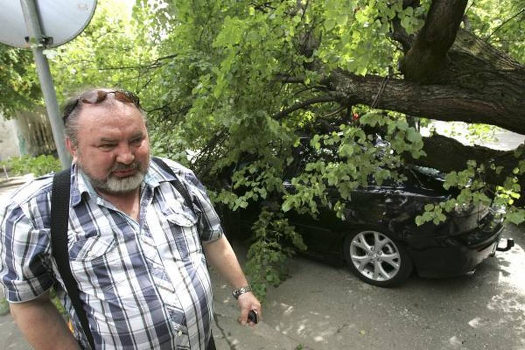 Kauno centre nuvirtęs topolis prispaudė apynaujį automobilį (papildyta)