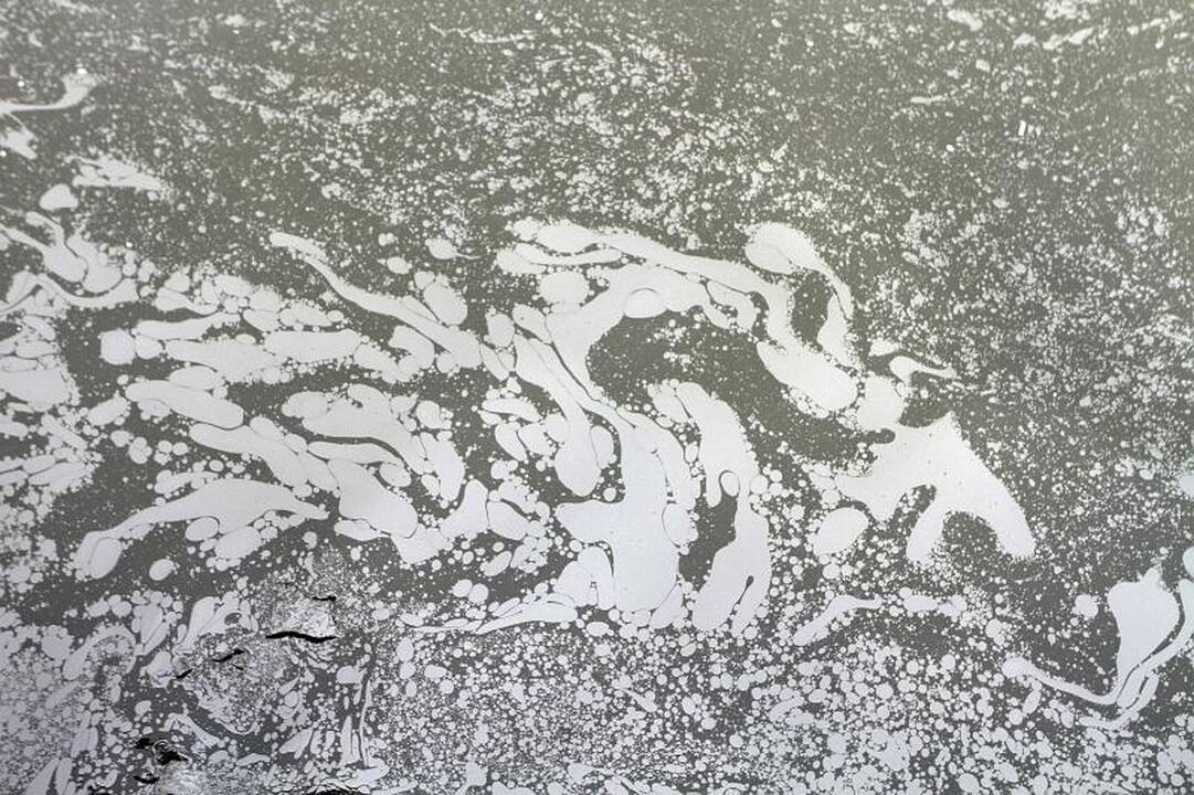 Klaipėdoje, Danės upėje pastebėtos teršalų dėmės