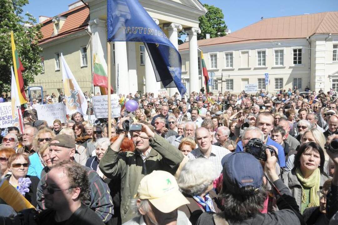 Vilniuje į mitingą rinkosi žmonės, sujaudinti vaiko likimo