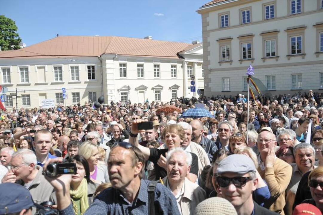 Vilniuje į mitingą rinkosi žmonės, sujaudinti vaiko likimo