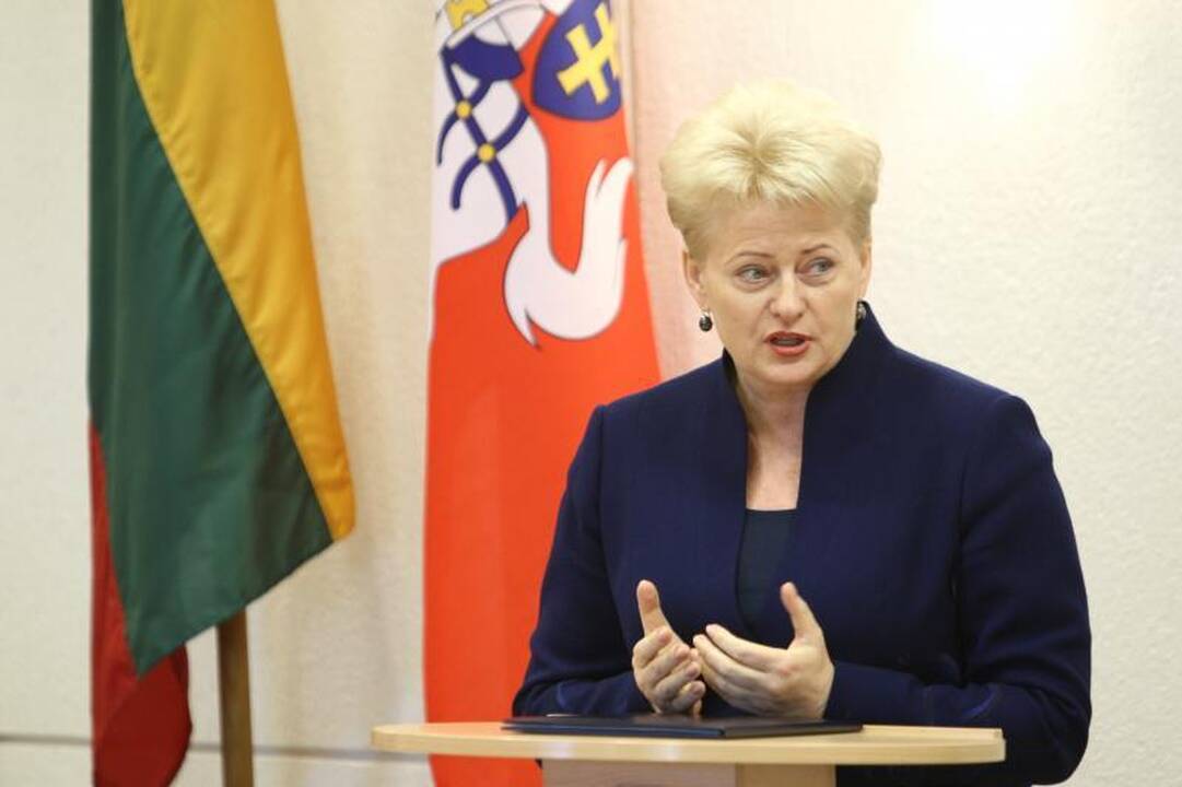 D.Grybauskaitės turtas per metus truputį augo