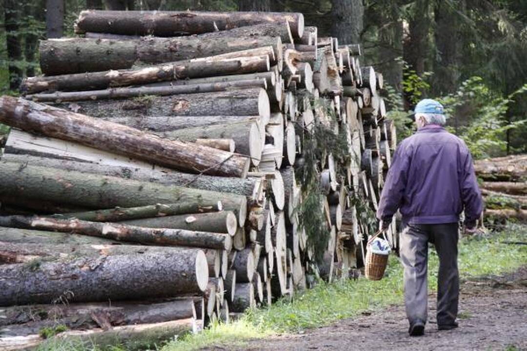 Seimo sprendimas: vietoj miškų augs miestai