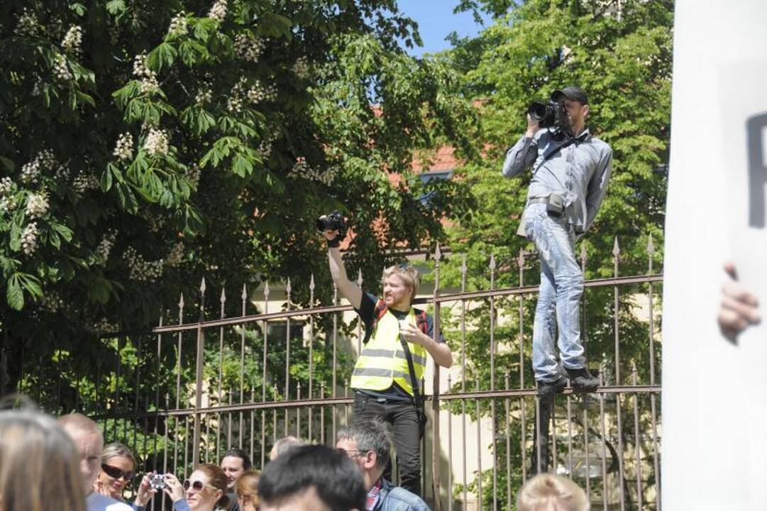 Vilniuje į mitingą rinkosi žmonės, sujaudinti vaiko likimo
