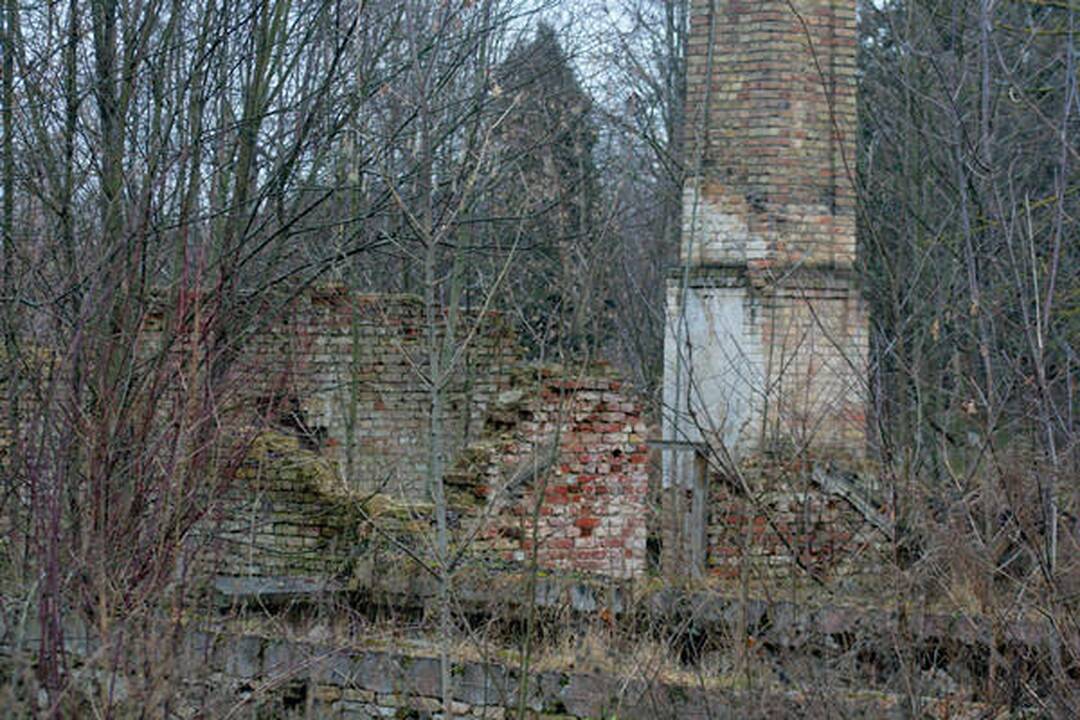 Vilniaus laukymėje žmogaus lavonas rastas po metų