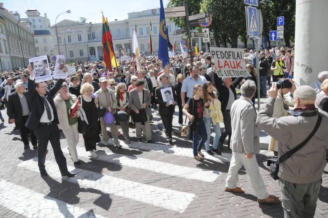 Vilniuje į mitingą rinkosi žmonės, sujaudinti vaiko likimo