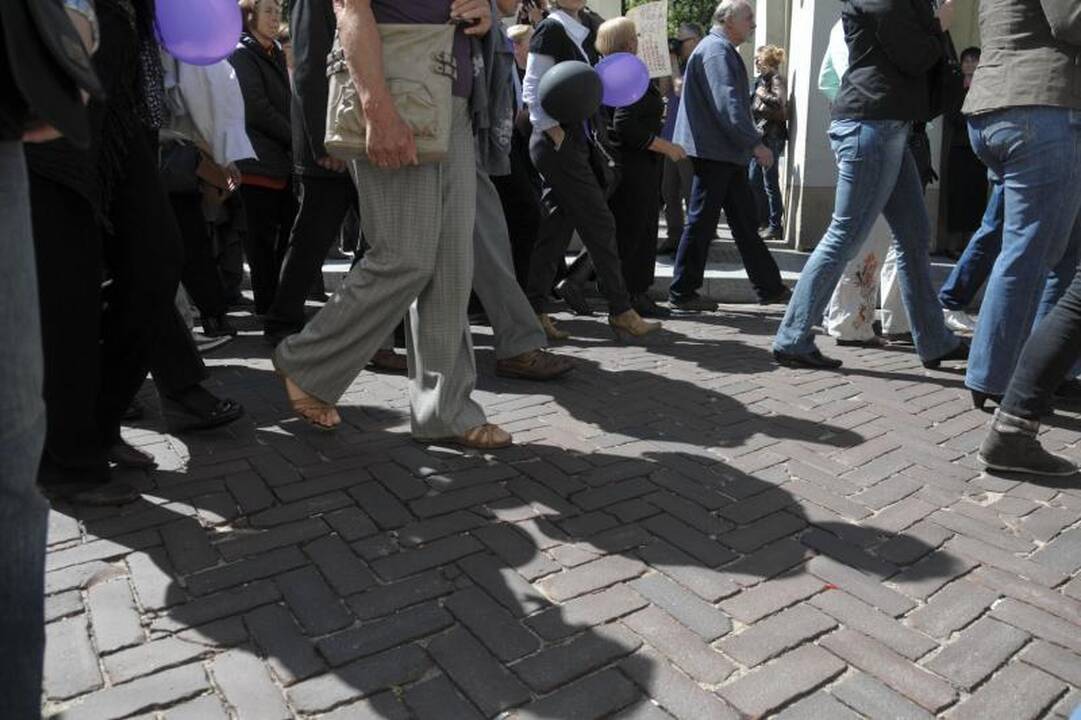 Vilniuje į mitingą rinkosi žmonės, sujaudinti vaiko likimo