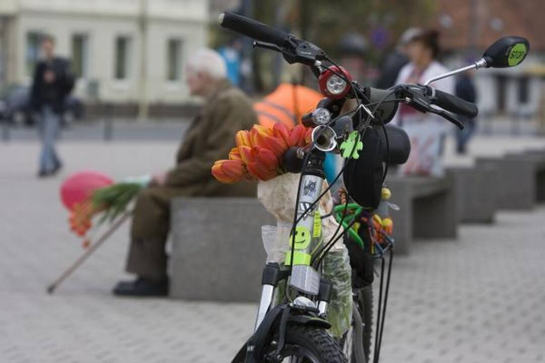 Veteranų eitynes Vilniuje lydėjo priešiški šūkiai (papildyta 15.50 val.)