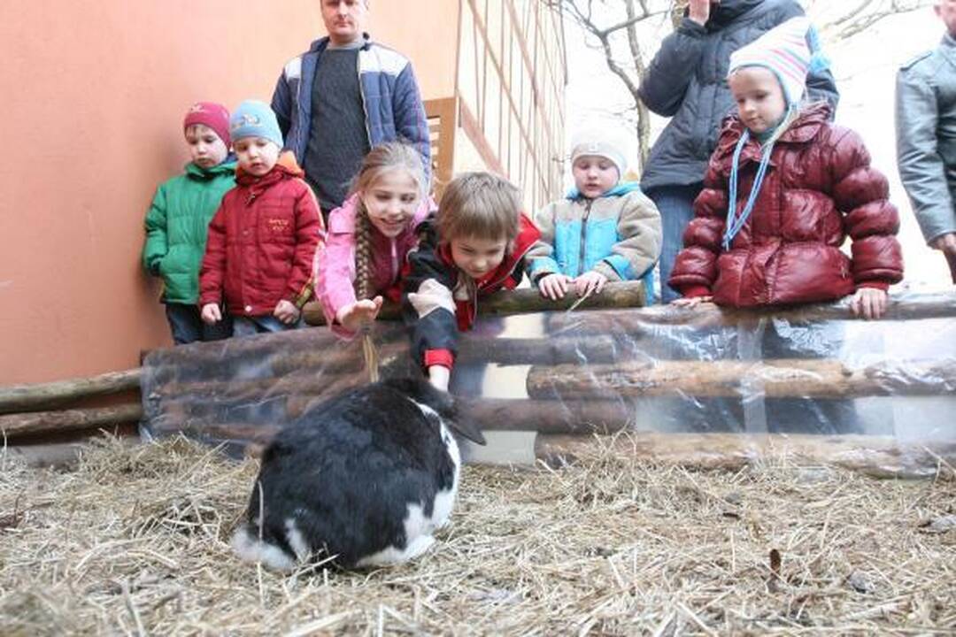 Džiaugsmingas Atvelykis Klaipėdoje