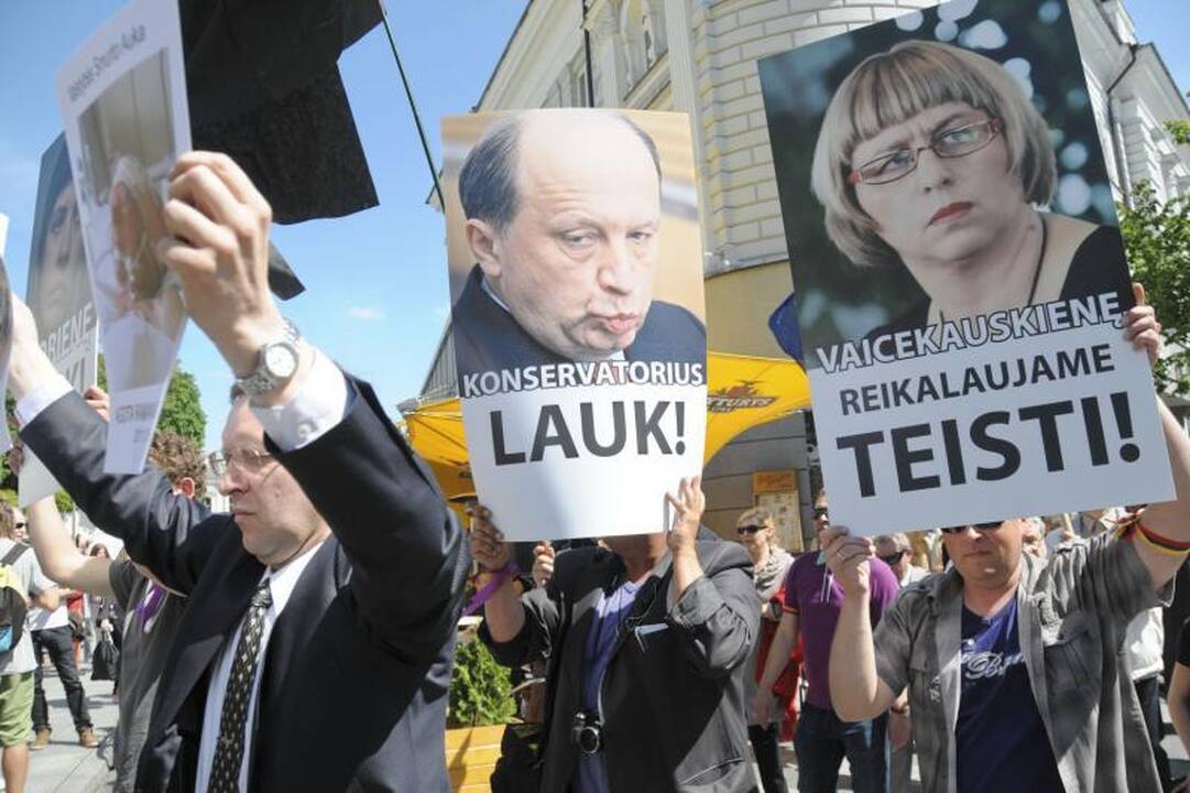 Vilniuje į mitingą rinkosi žmonės, sujaudinti vaiko likimo