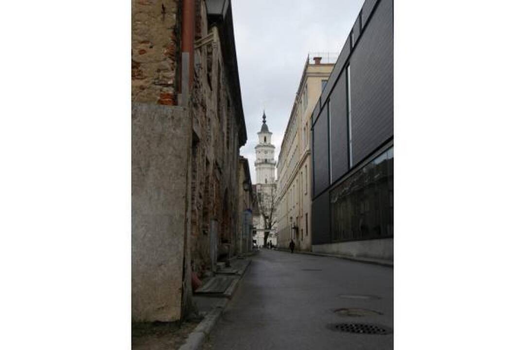 Veteranų eitynes Vilniuje lydėjo priešiški šūkiai (papildyta 15.50 val.)