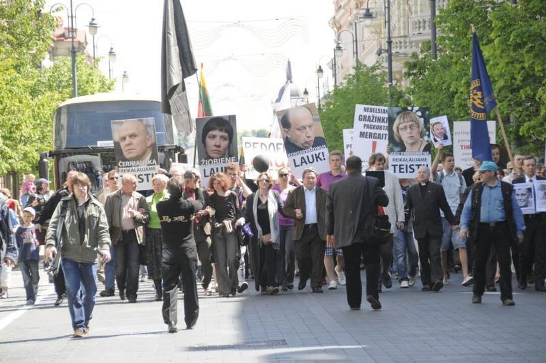 Vilniuje į mitingą rinkosi žmonės, sujaudinti vaiko likimo