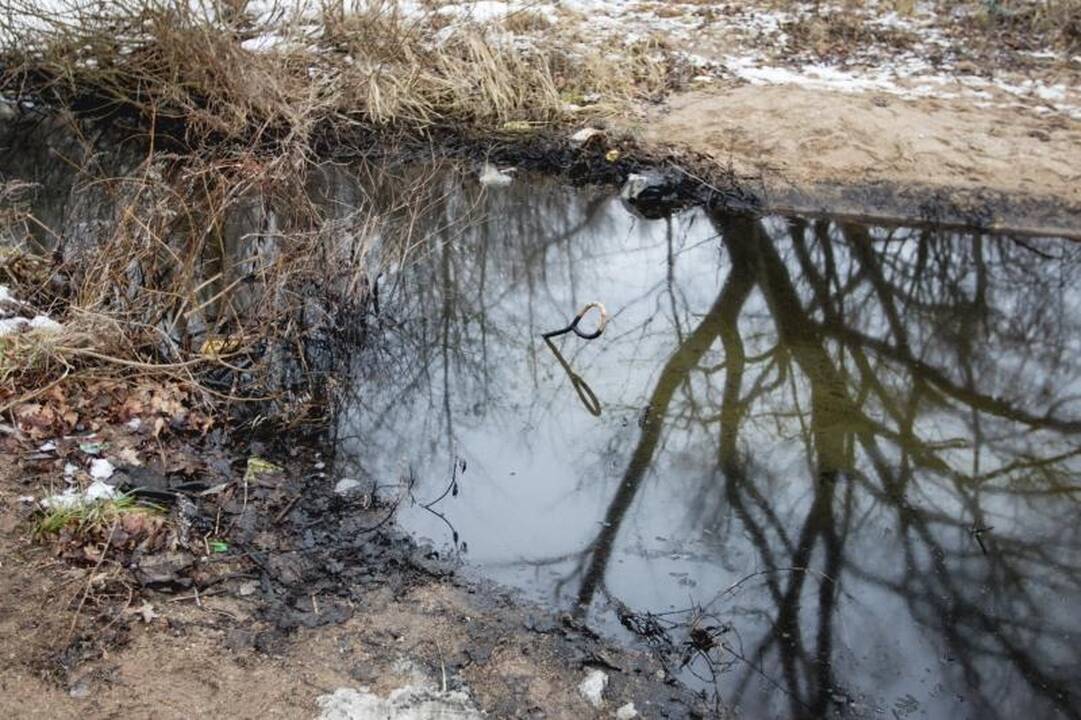 Sostinėje vyksta pirmasis "Velomaratonas"