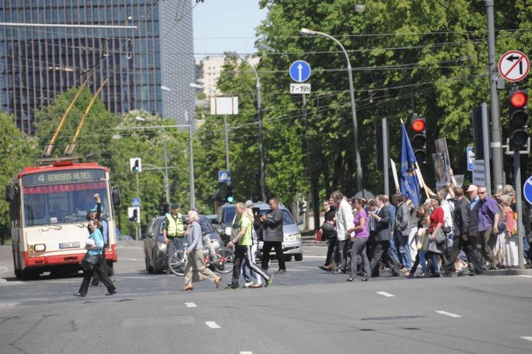 Vilniuje į mitingą rinkosi žmonės, sujaudinti vaiko likimo