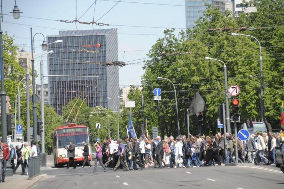 Vilniuje į mitingą rinkosi žmonės, sujaudinti vaiko likimo