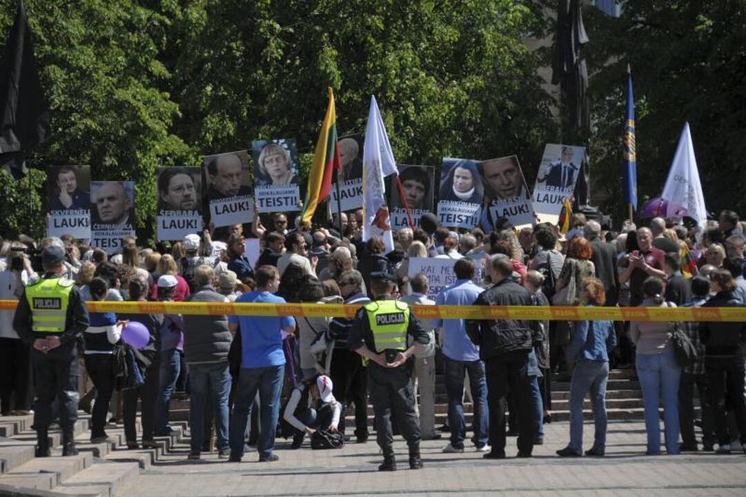 Vilniuje į mitingą rinkosi žmonės, sujaudinti vaiko likimo