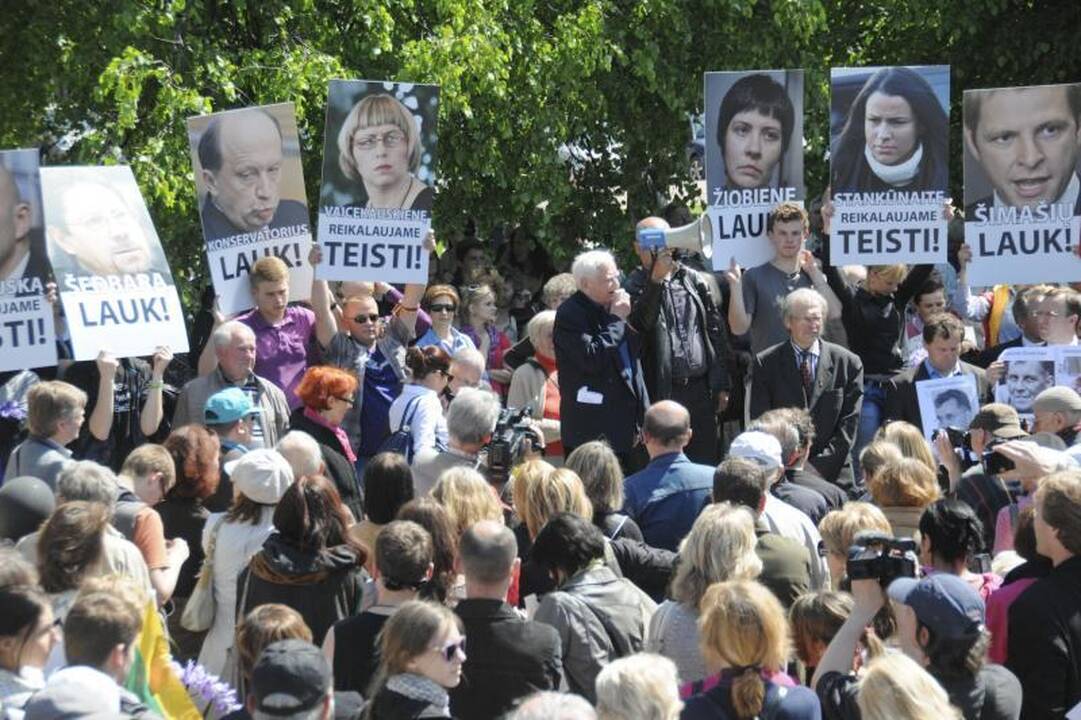 Vilniuje į mitingą rinkosi žmonės, sujaudinti vaiko likimo
