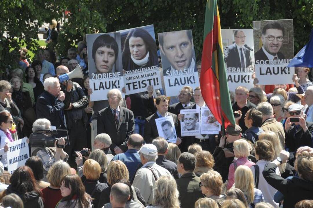 Vilniuje į mitingą rinkosi žmonės, sujaudinti vaiko likimo