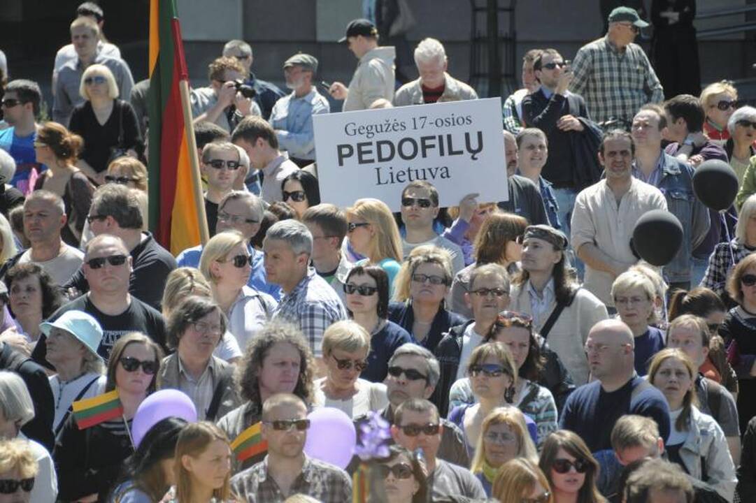 Vilniuje į mitingą rinkosi žmonės, sujaudinti vaiko likimo