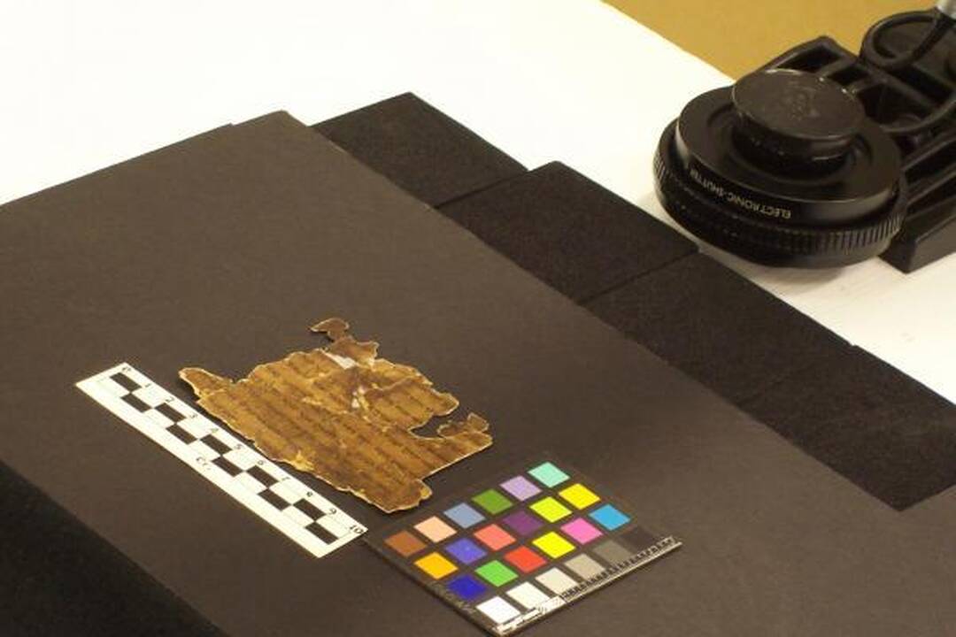 Negyvosios jūros ritinius paviešins internete