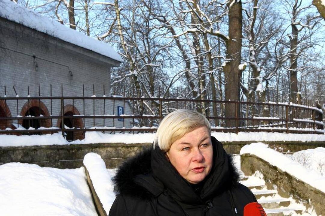 Ligos palaužtas lokys Kasparas taps muziejaus eksponatu