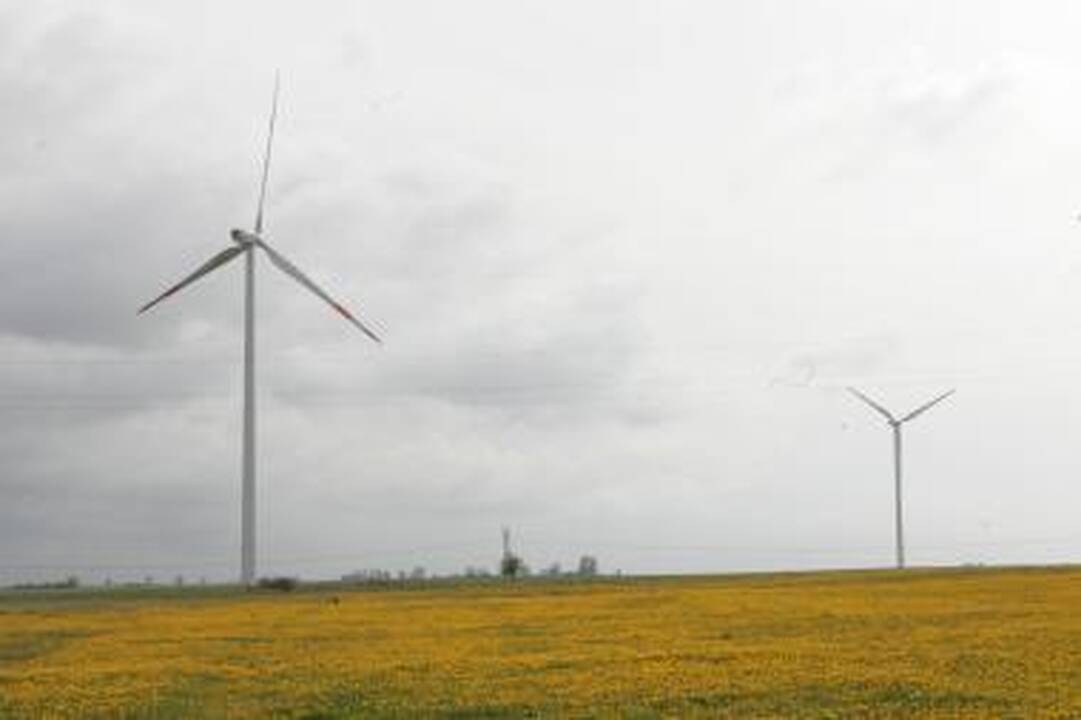 Vėjo jėgainių parko statyboms pamaryje – 92 mln. litų