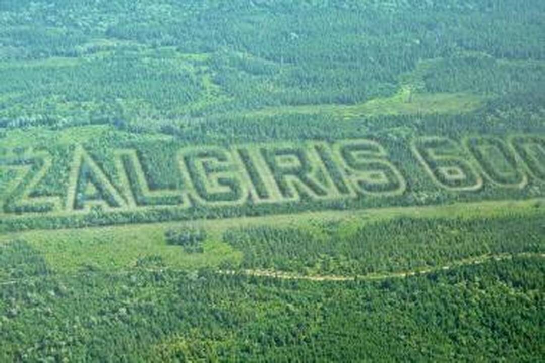 Užrašas "Žalgiris 600" suformuotas iš 7 tūkst. medžių