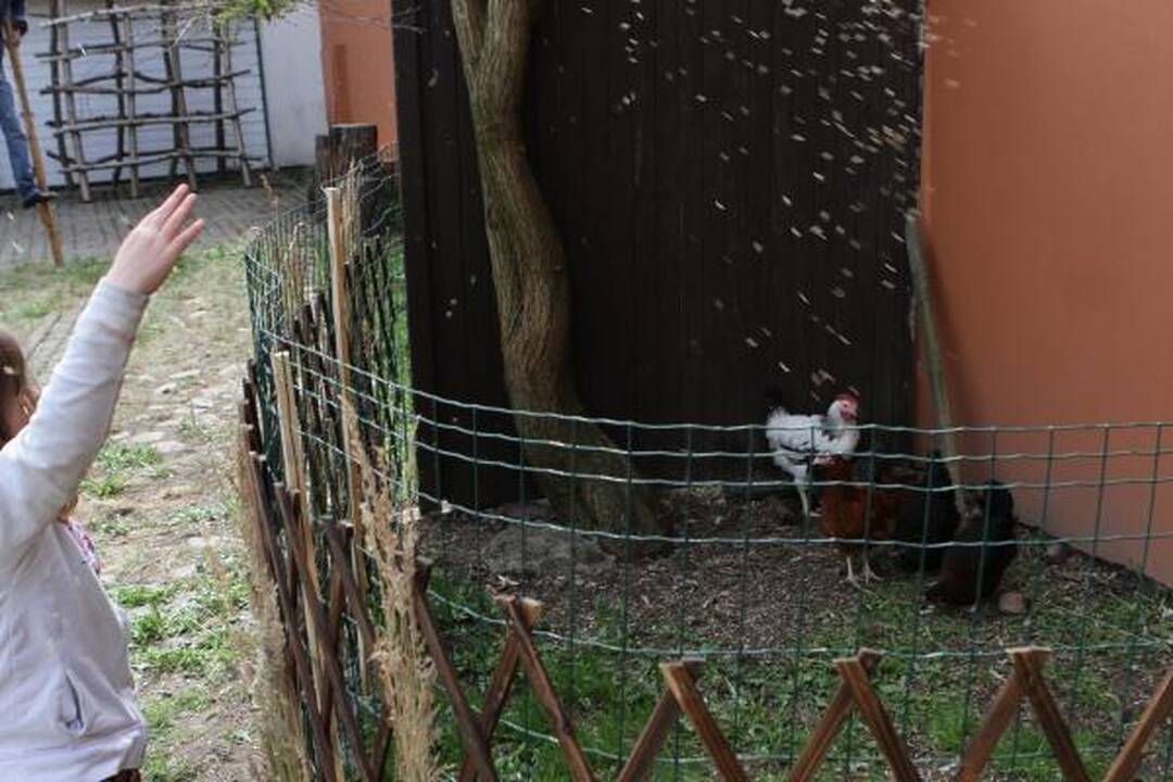 Atvelykio šventėje prisimintos tradicijos
