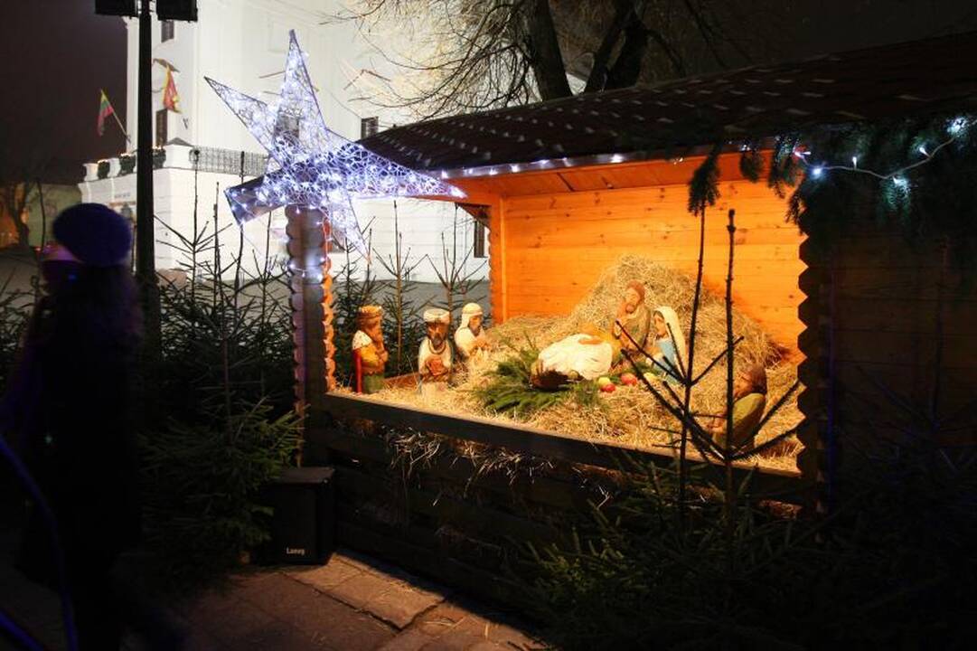 Rotušės aikštėje tradiciškai apsigyveno avys
