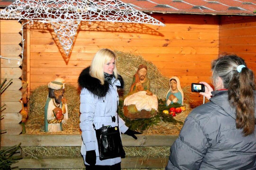 Rotušės aikštėje tradiciškai apsigyveno avys
