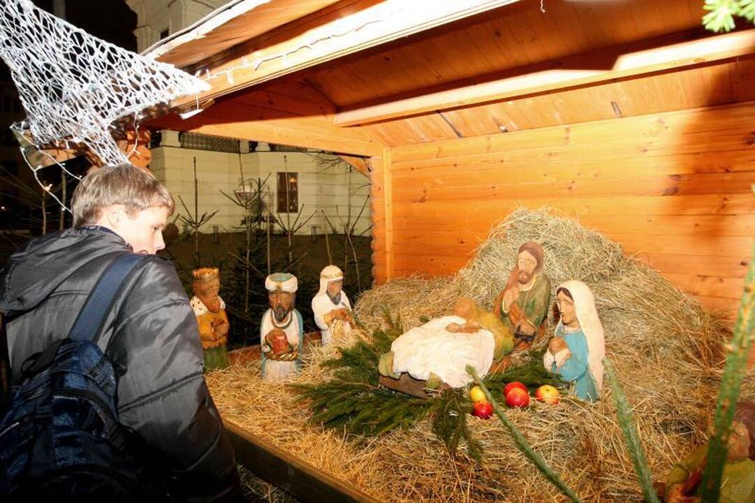 Rotušės aikštėje tradiciškai apsigyveno avys