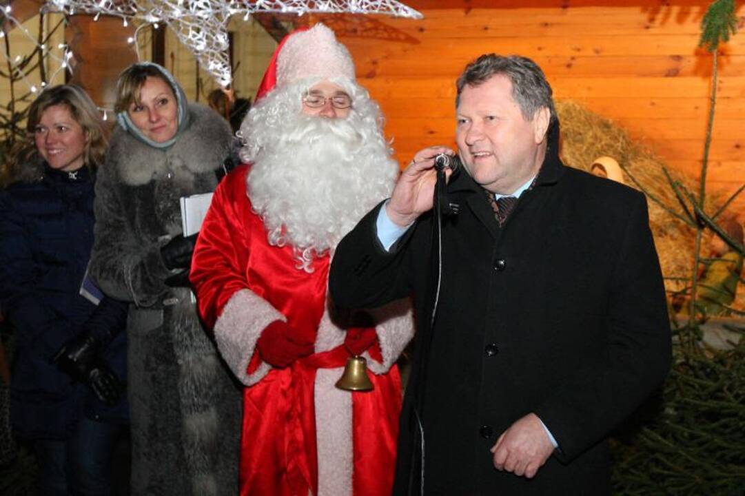 Rotušės aikštėje tradiciškai apsigyveno avys