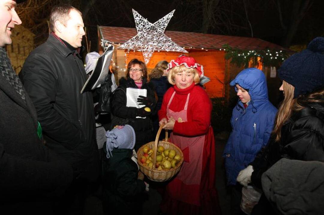 Rotušės aikštėje tradiciškai apsigyveno avys