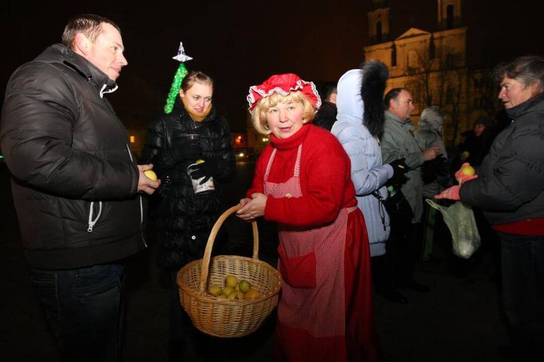Rotušės aikštėje tradiciškai apsigyveno avys