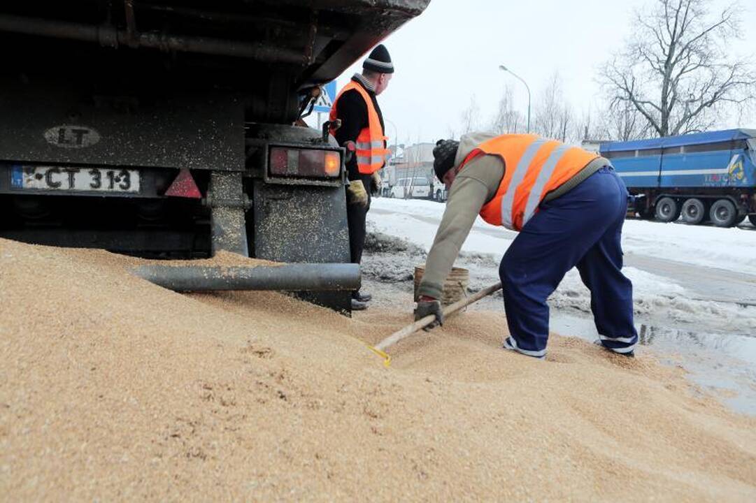 Mokyklos gatvę nusėjo į uostą gabenti grūdai