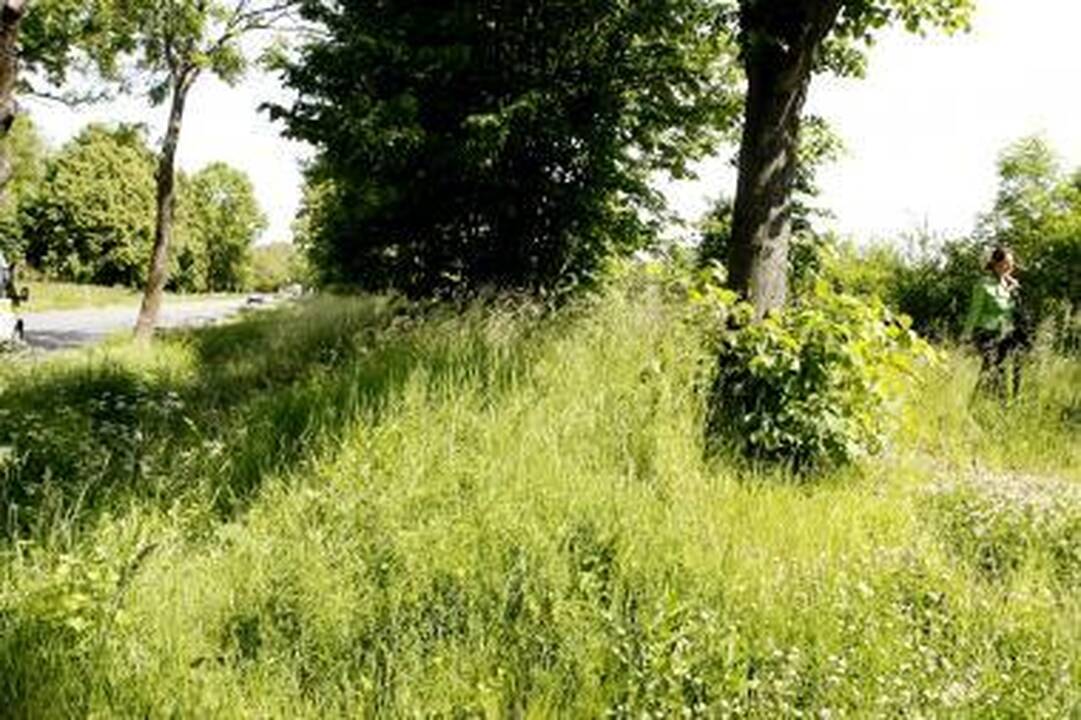 Šalčininkų ir Trakų rajonuose - žmogžudystės