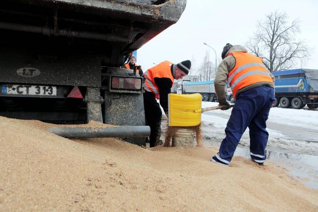 Mokyklos gatvę nusėjo į uostą gabenti grūdai