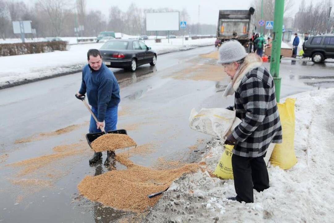 Mokyklos gatvę nusėjo į uostą gabenti grūdai