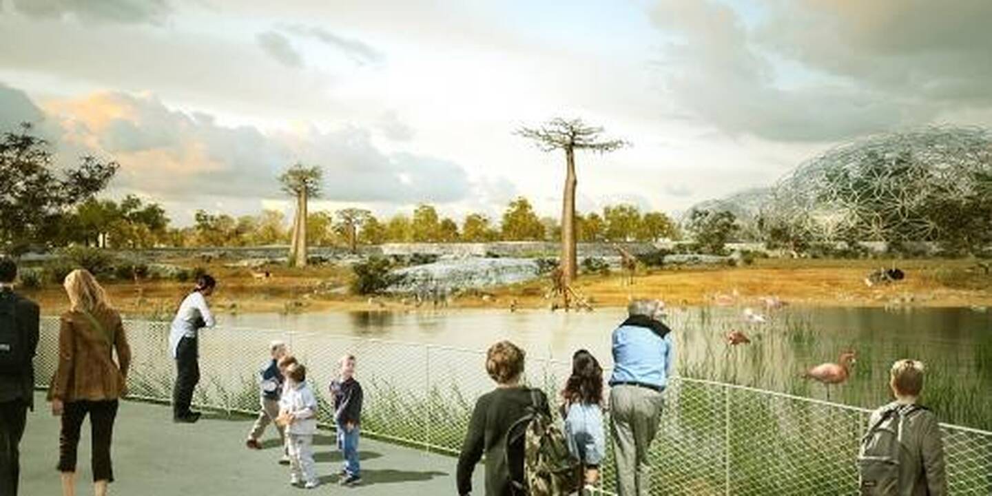 Sankt Peterburge kuriamas „pasaulio“ zoologijos sodas